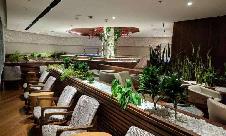 里约热内卢-加利昂安东尼奥·卡洛斯·若比姆国际机场Star Alliance Lounge