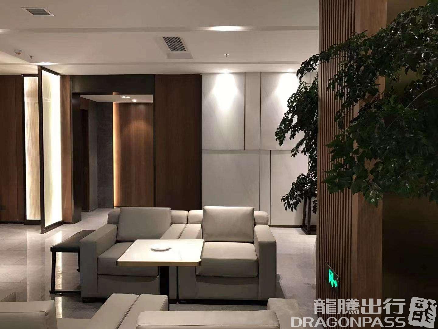 VIP Lounge (T3 Dom) - 1