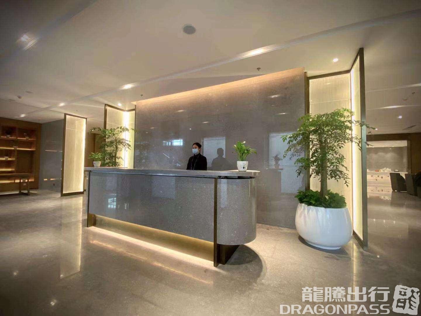 VIP Lounge (T3 Dom) – photos 7