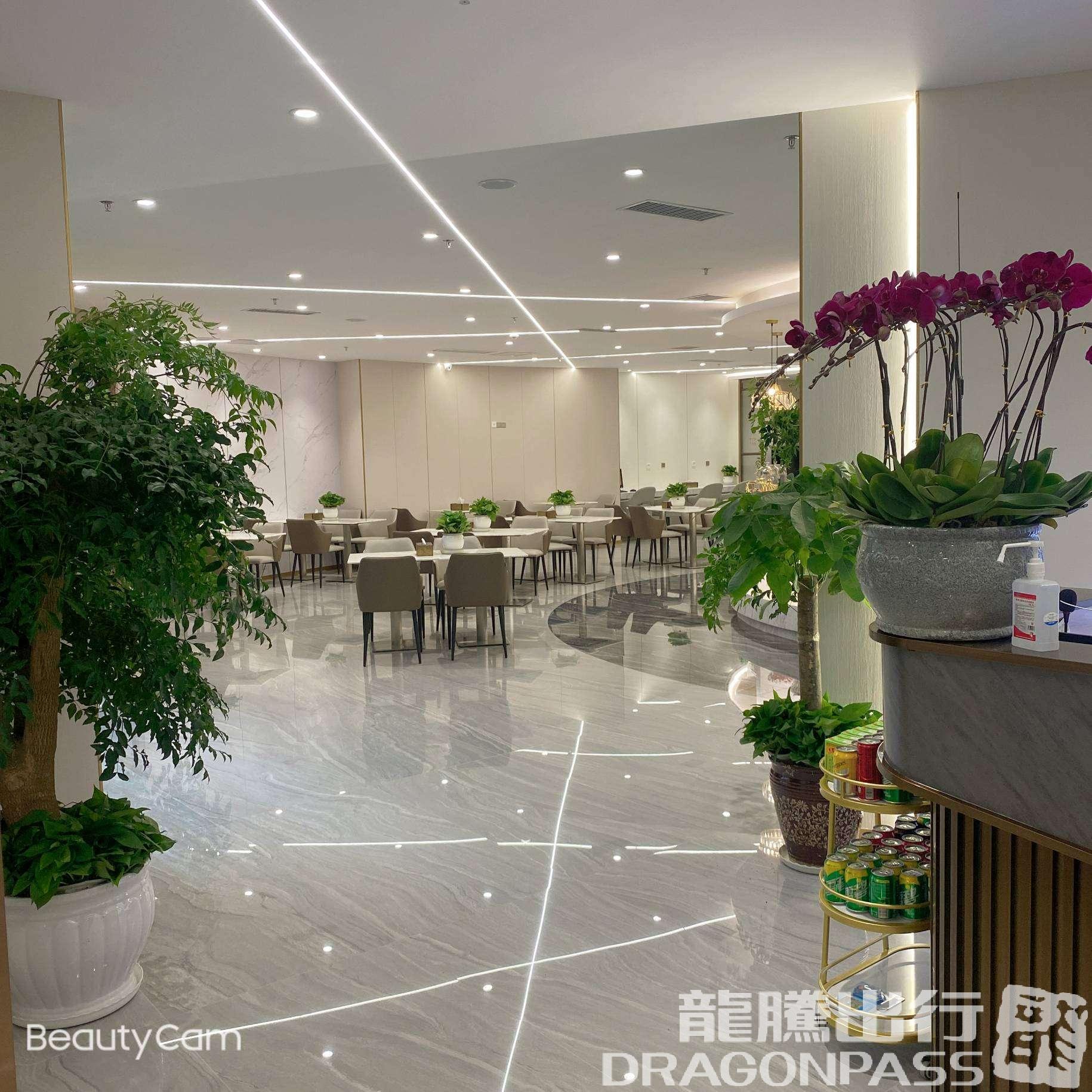 Skypearl Lounge(T3-Intl)