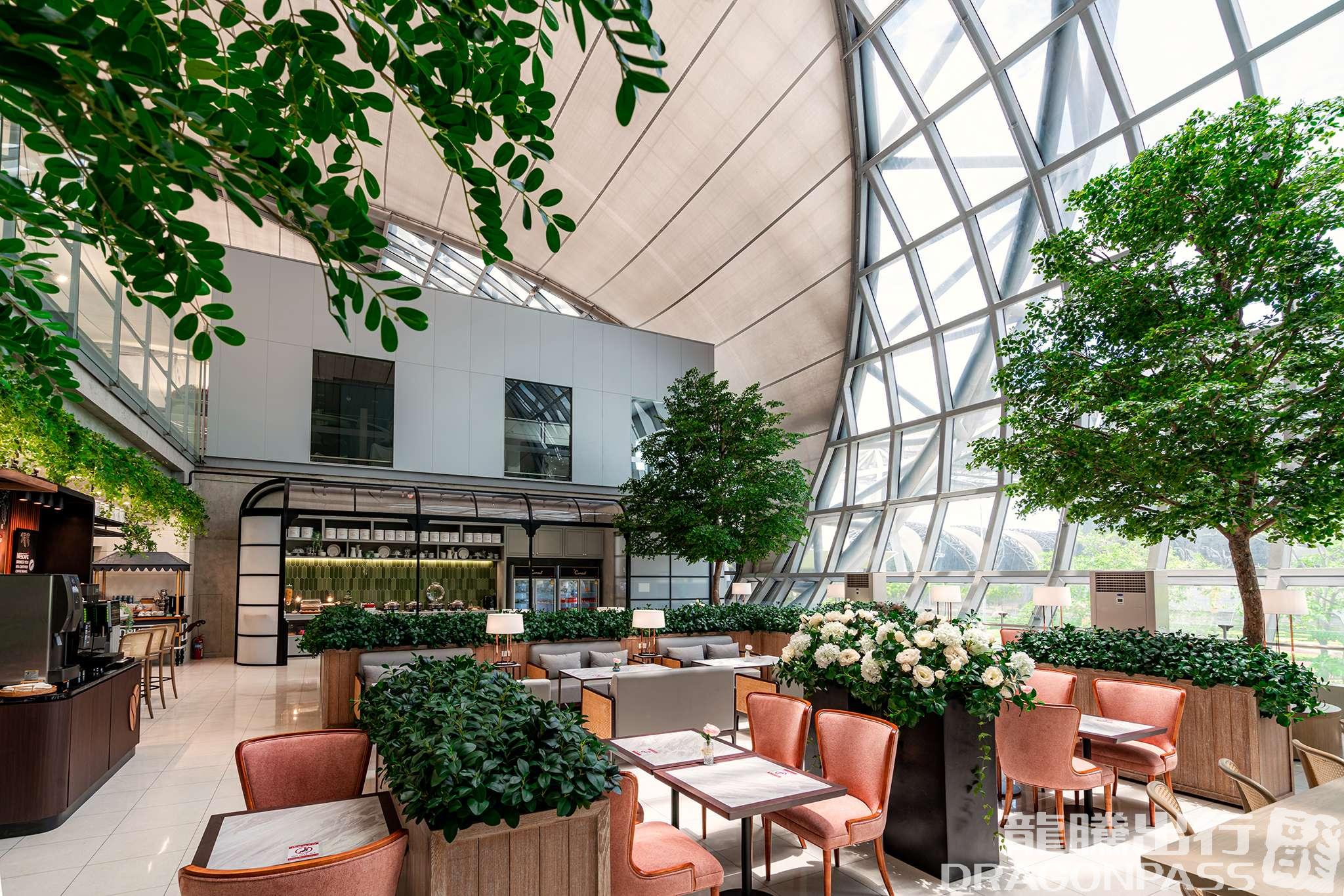 The Coral Executive Lounge – photos 2